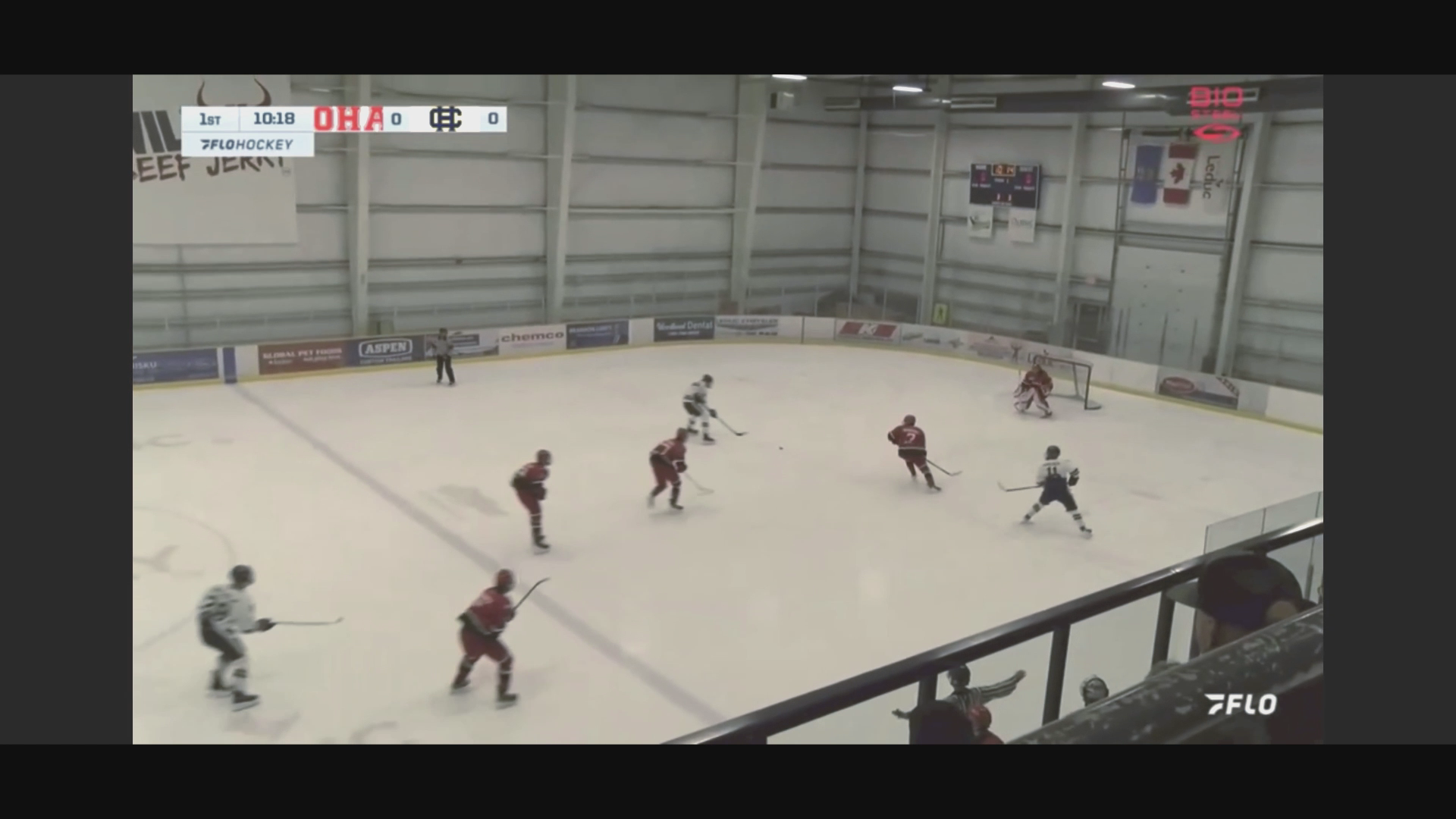 CIHA vs. OHA Leduc Showcase