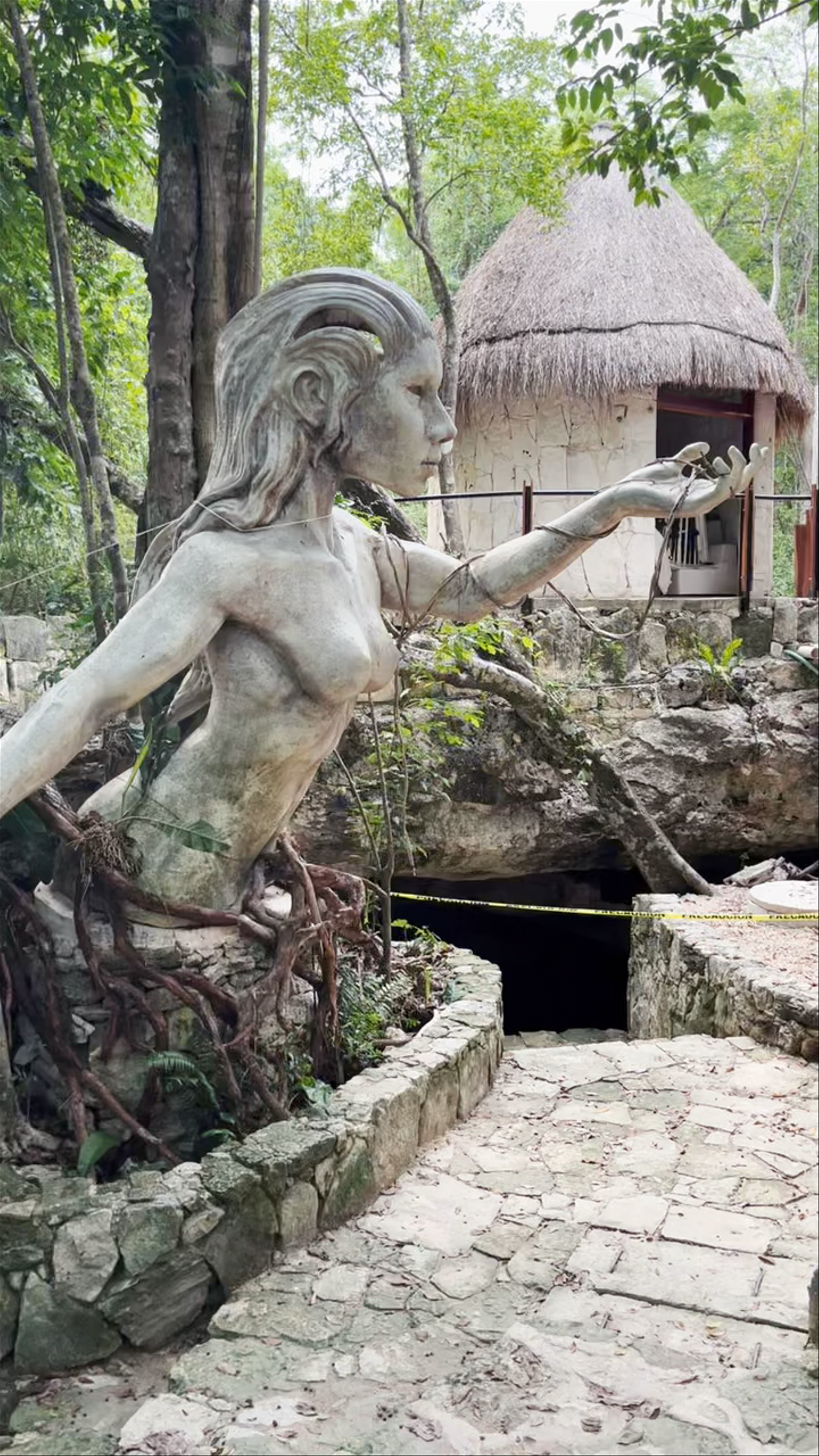 Cenotes Casa Tortuga Tulum