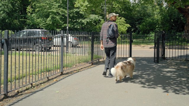 A man walks out of the park with his dog