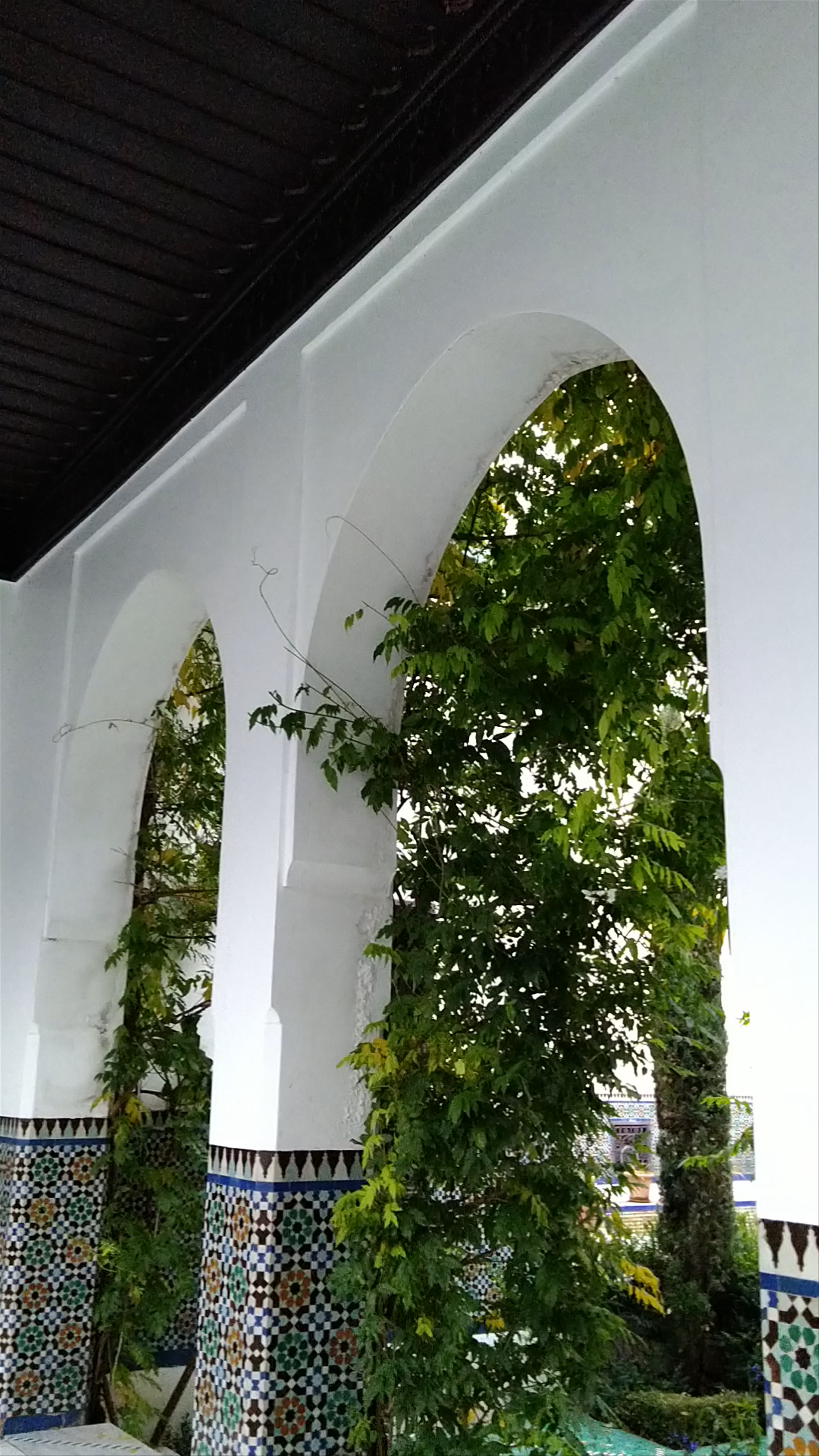 Serene Journey Through Grande Mosquée de Paris Gardens