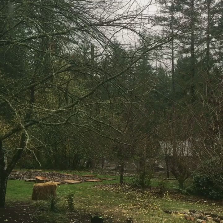 Peak Tree Care - Tree Services Near Me