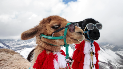 Mensonge sur la marchandise