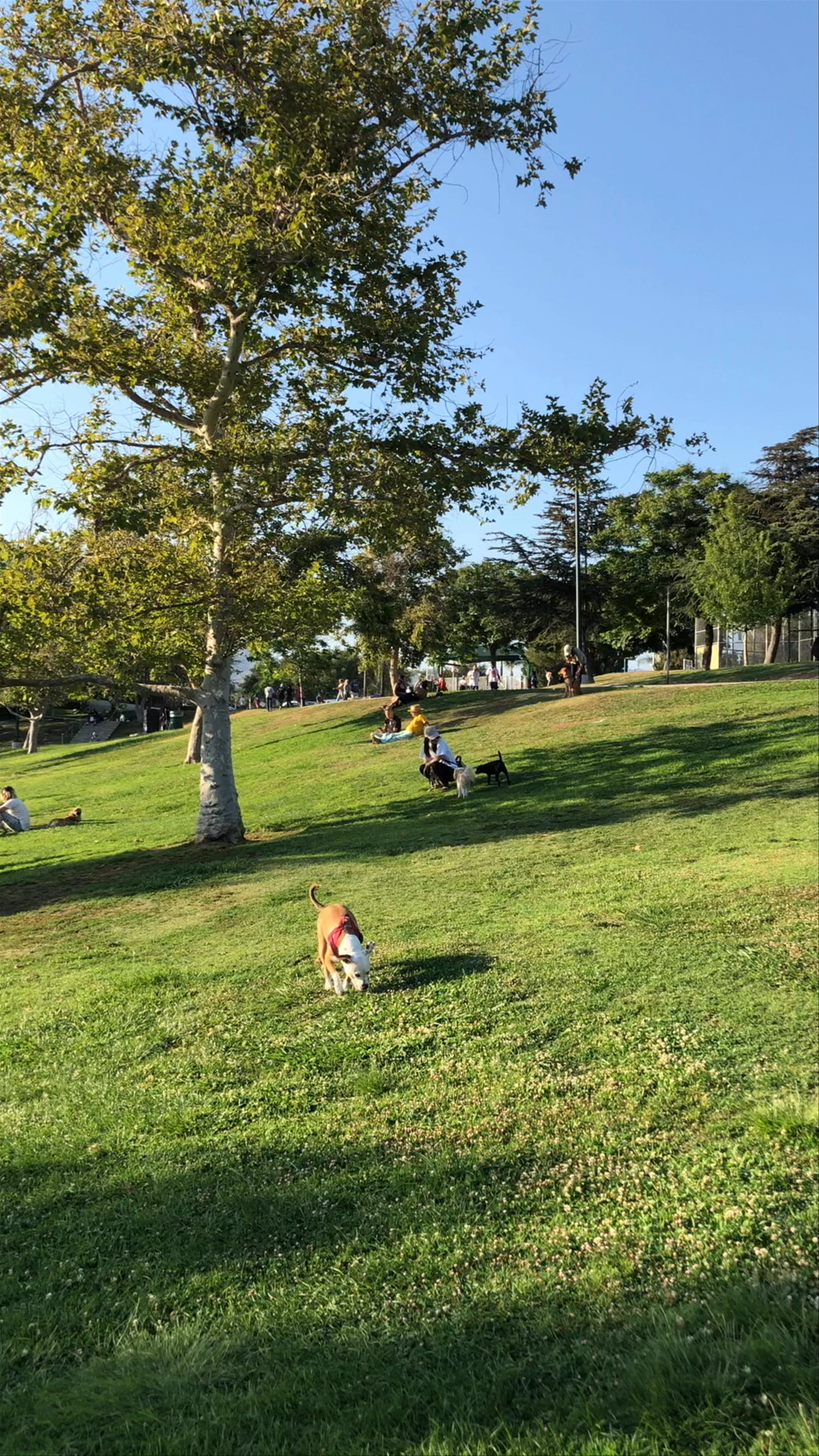 Pan Pacific Park
