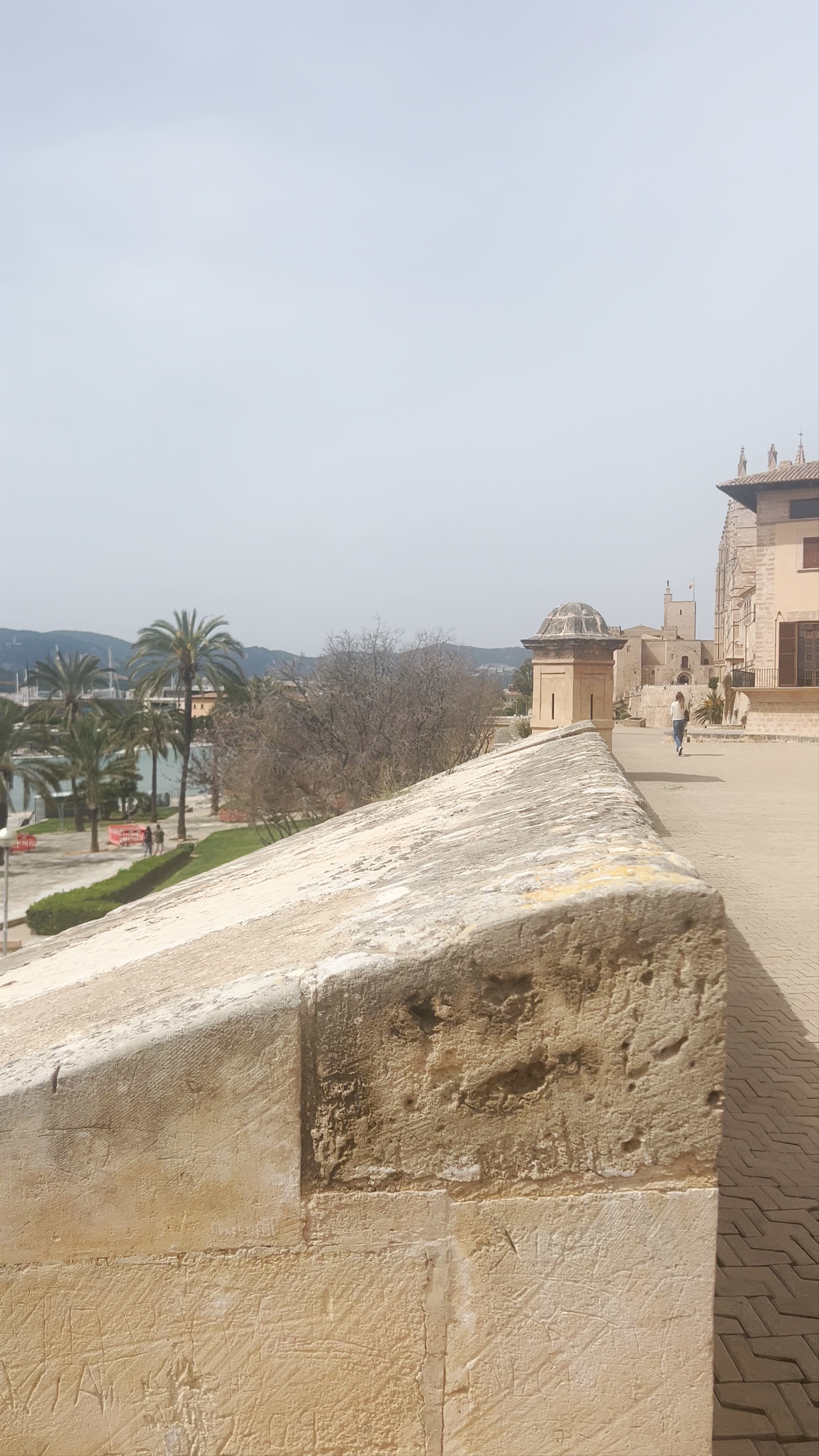 Historic Passeig Dalt Murada Walk in Palma, Spain
