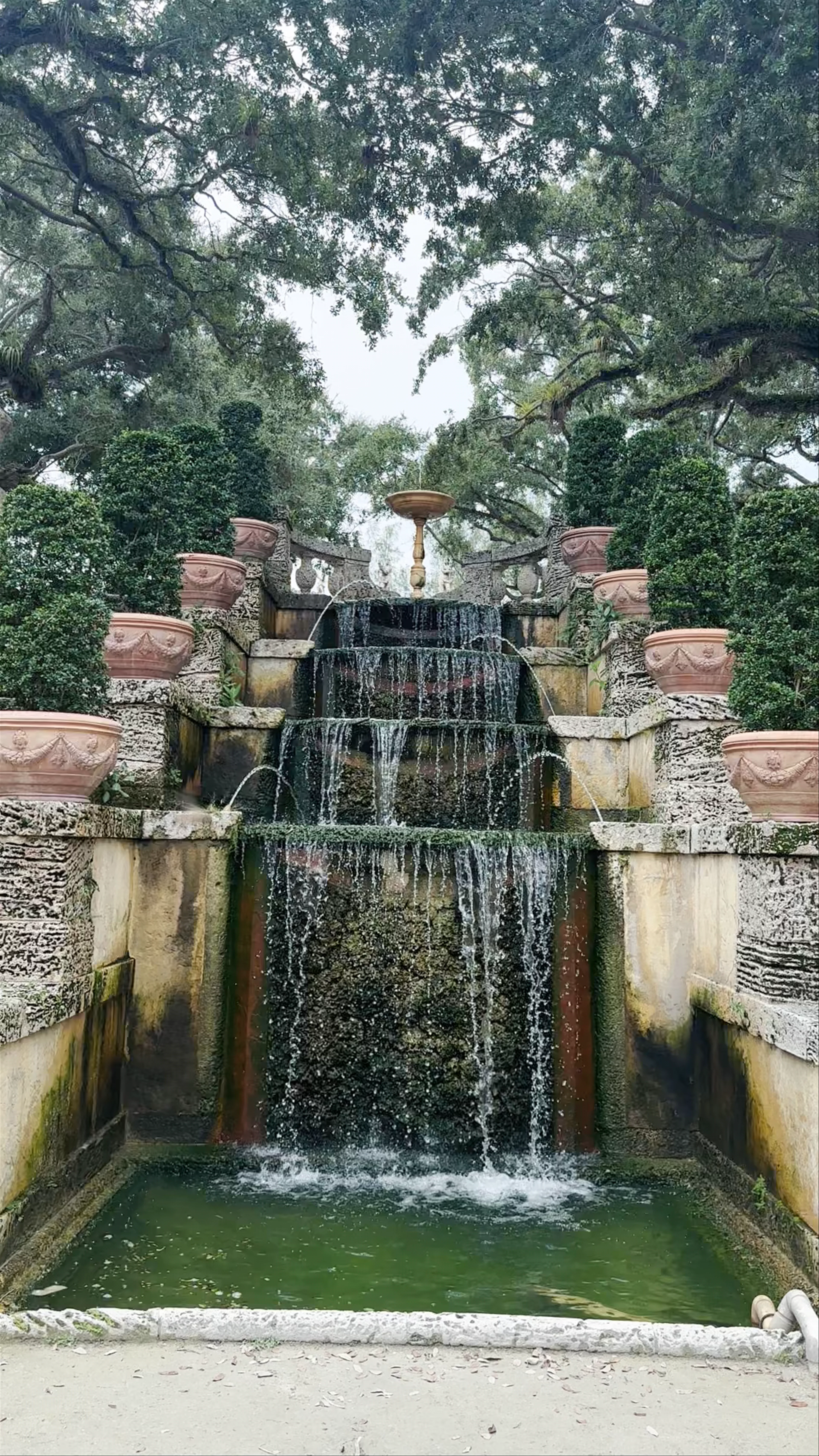 Vizcaya Museum & Gardens