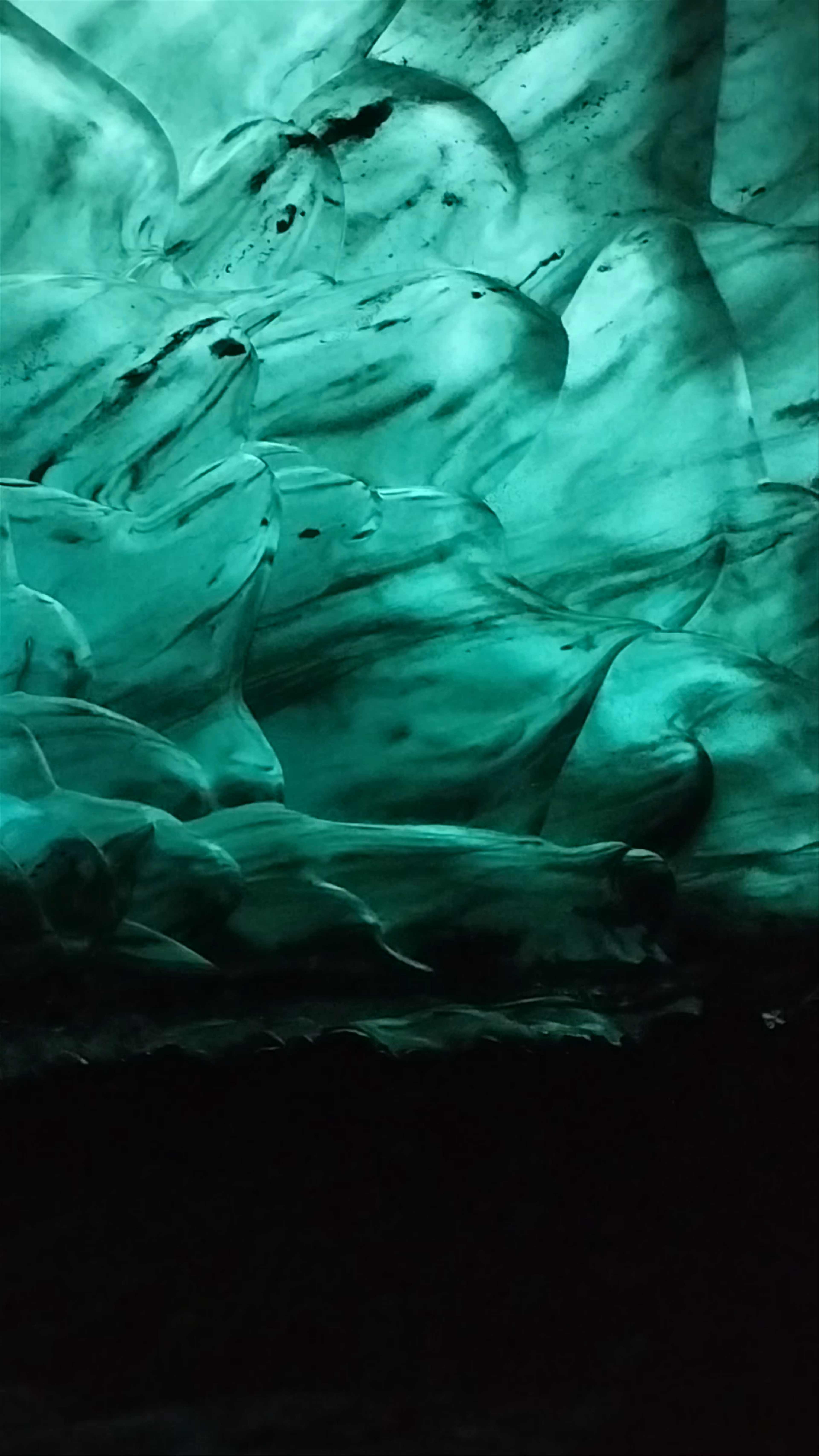 Glacier Mice Ice Cave tours
