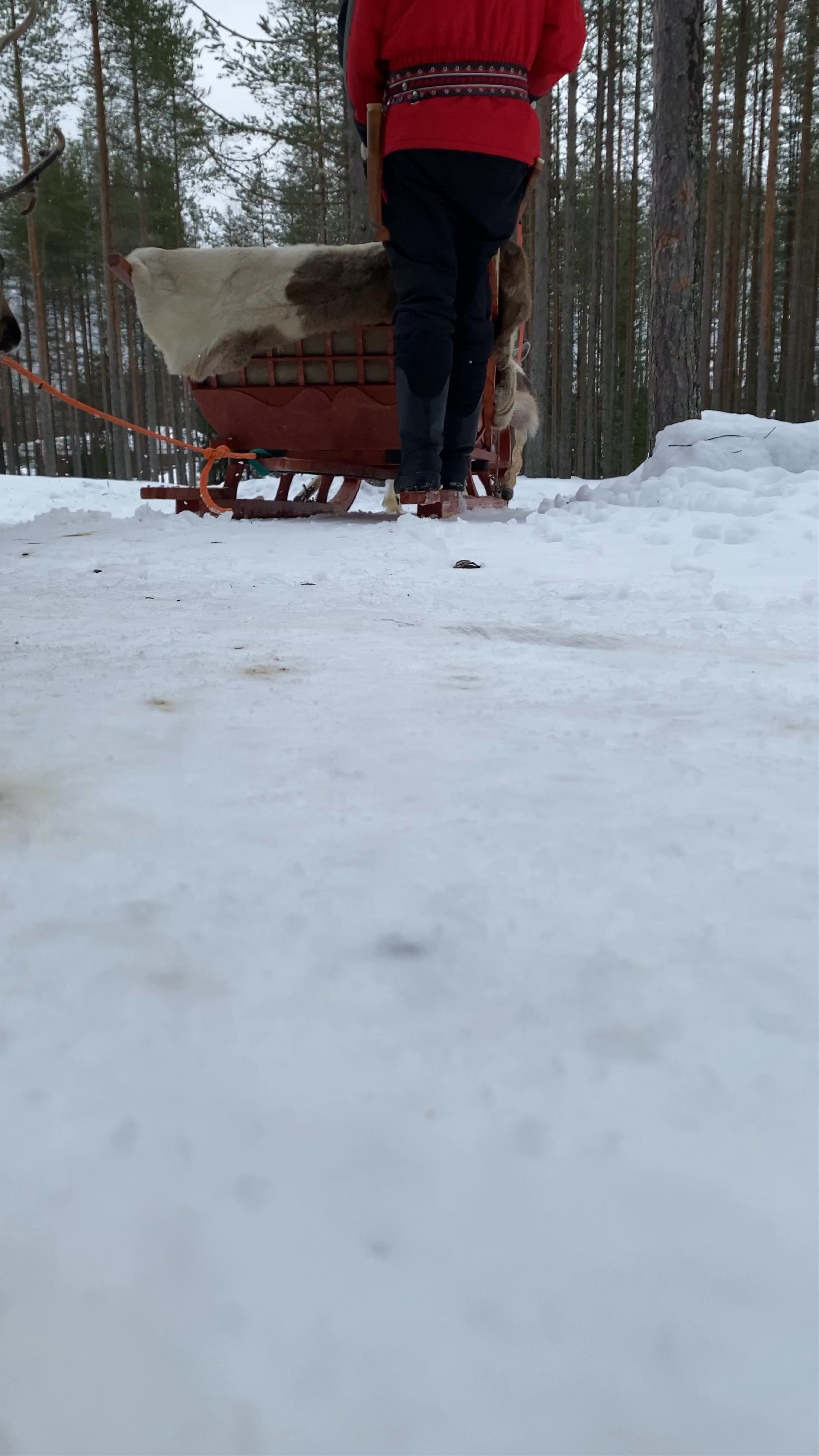 Santa Claus Reindeer