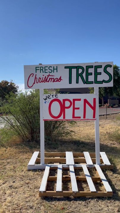 Mistletoe Tree Farm - Mistletoe Tree Farm in Gilbert - Christmas Trees Near Me - Gilbert, Arizona