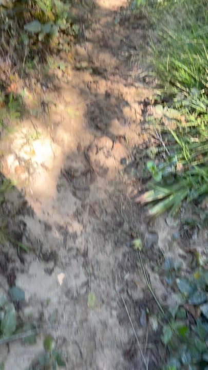 Zinfandel Trail - Hiking Near Me - Cupertino, California