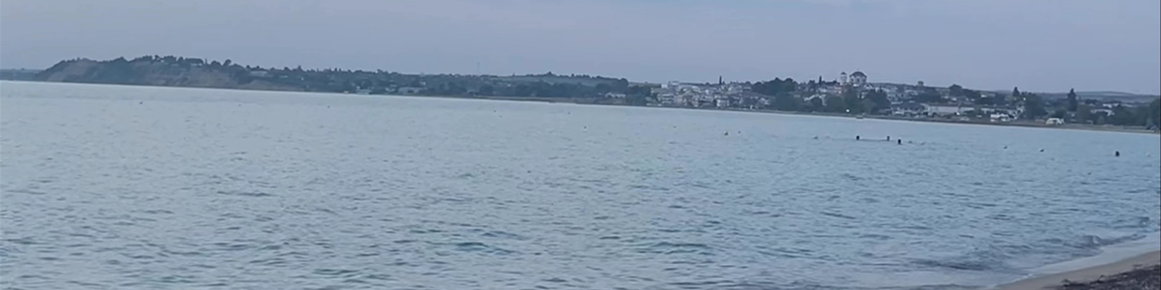 Yolo Beach Bar