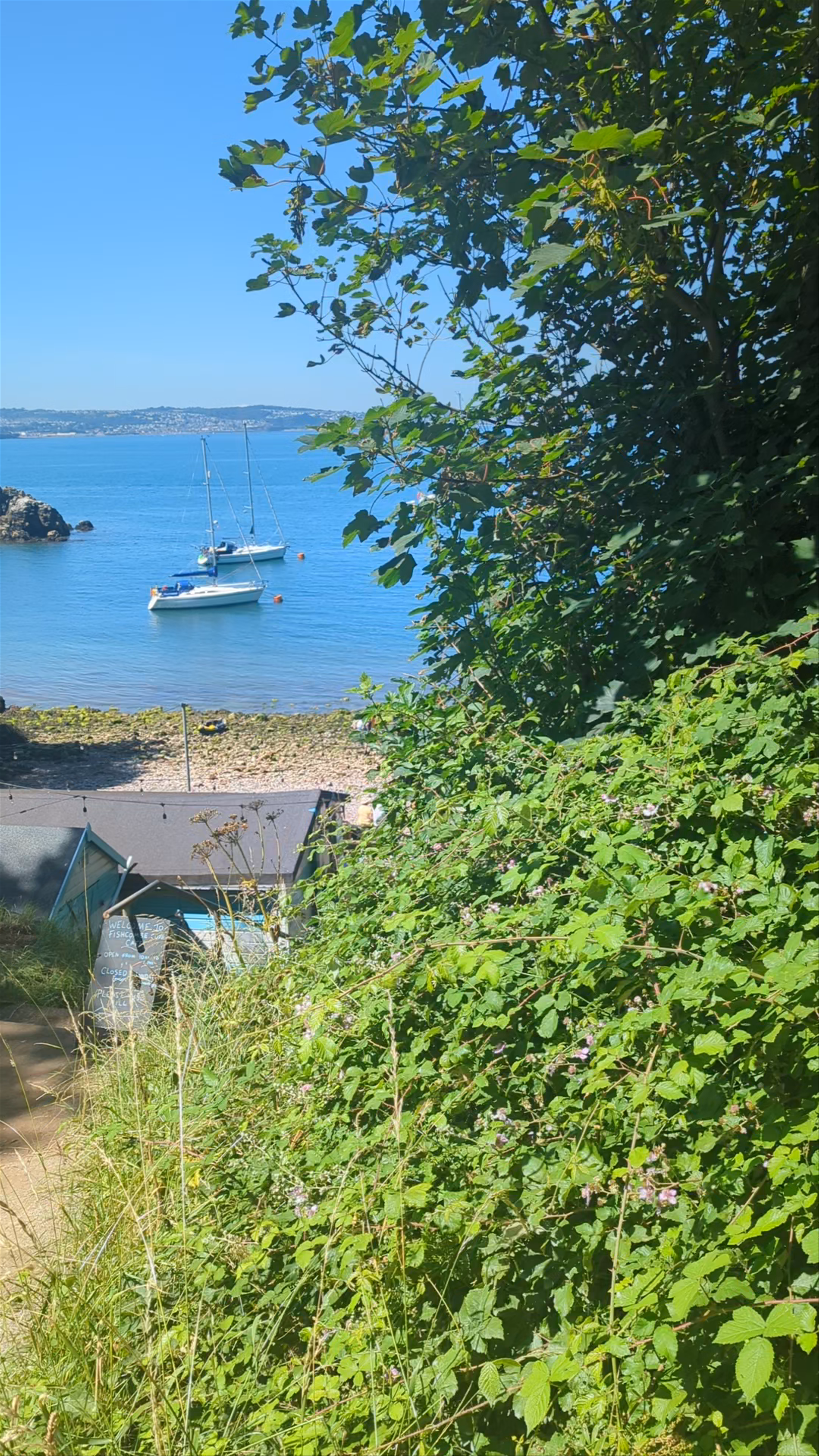Serene Summer Day at Fishcombe Cove, Brixham, UK