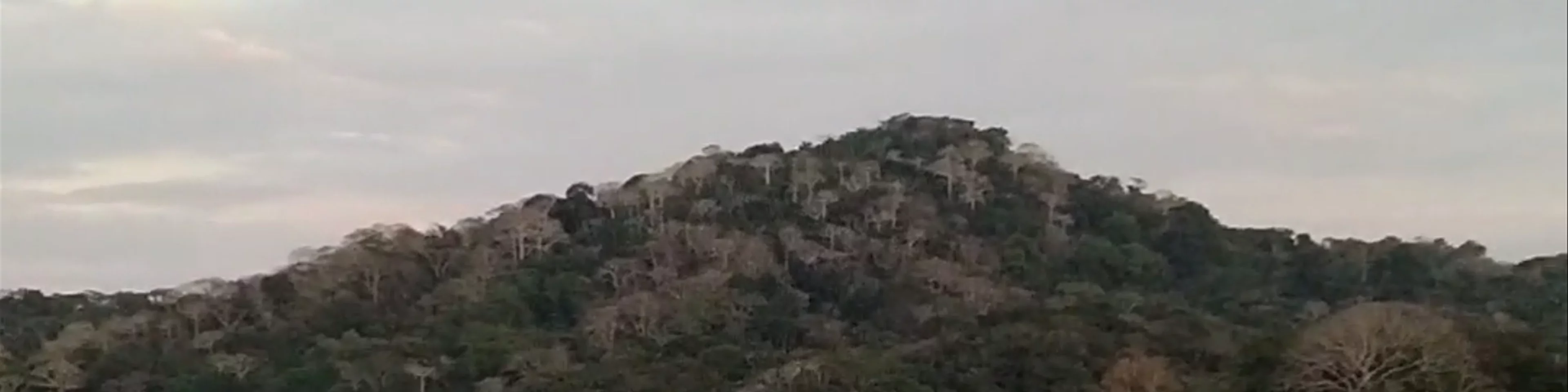 Restaurante Don Caimán