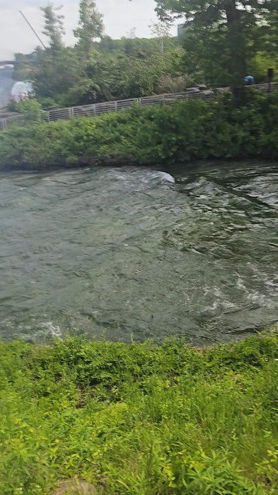 Niagara Whirlpool - Golf Near Me - Niagara Falls, Ontario