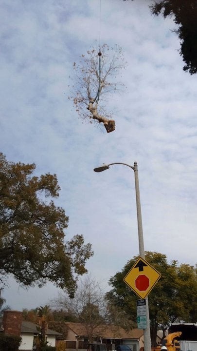 Redline Crane - Crane Services Near Me - Los Angeles, California
