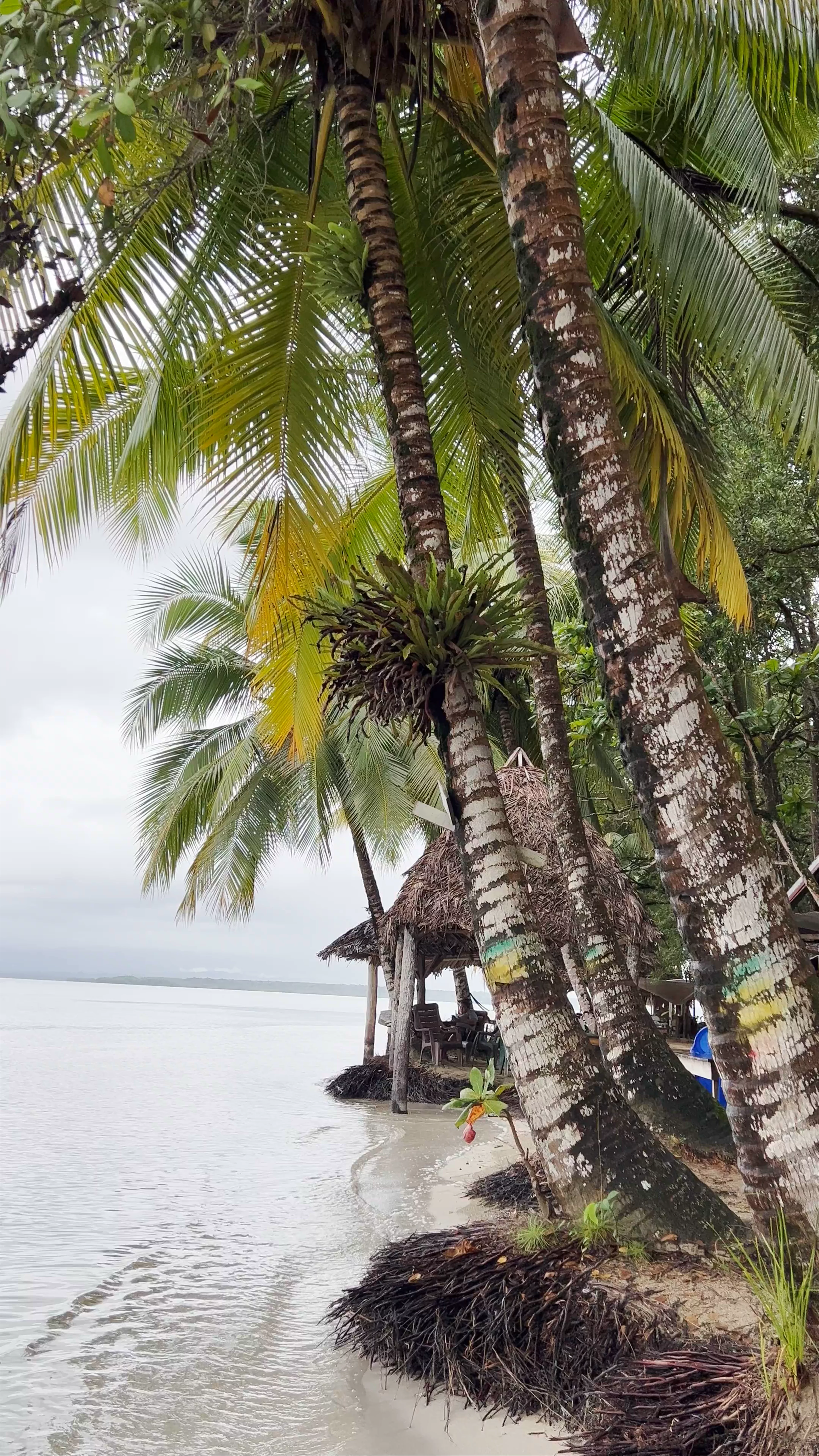 Starfish Beach