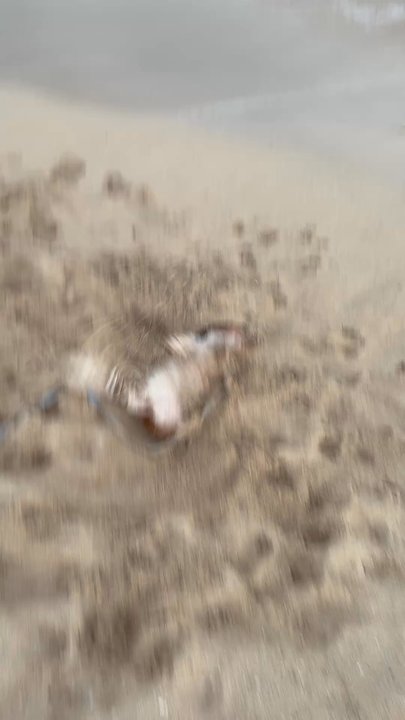 Kapilina Beach - Beaches Near Me - Ewa Beach, Hawaii