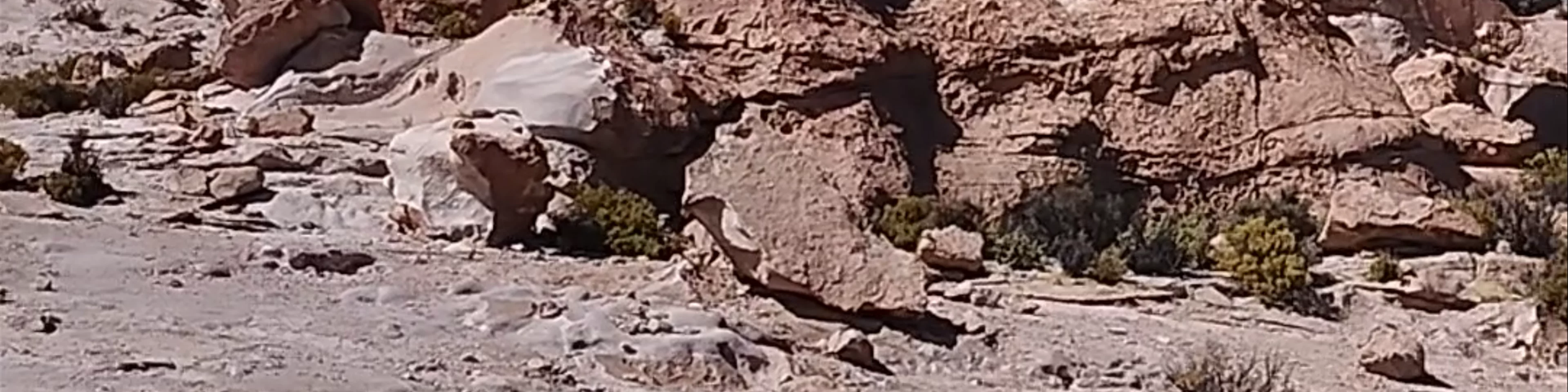 Piedra de la Copa del Mundo