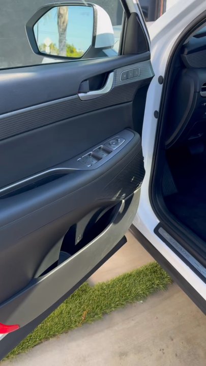 Sayless Detail - after - Auto Detailing Near Me