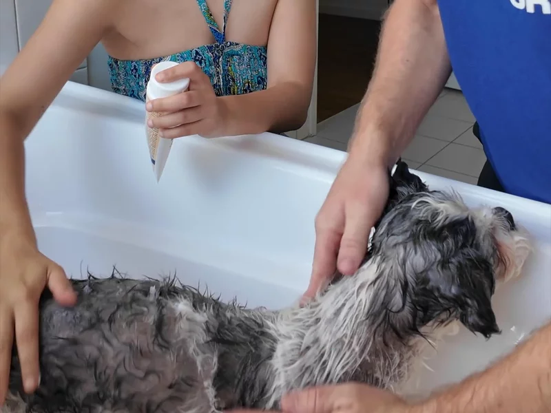 Dermcare Aloveen Dog Shampoo