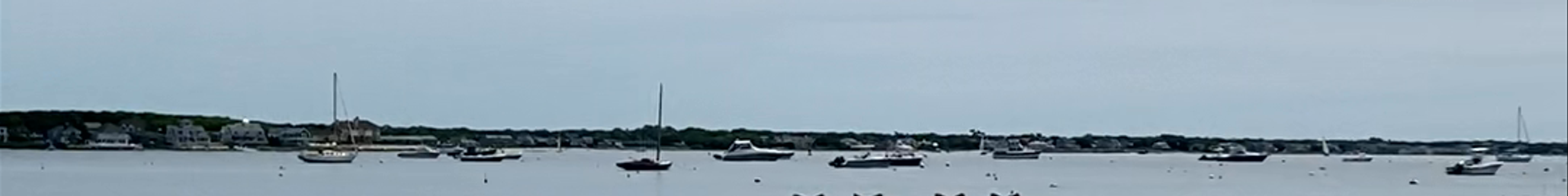 Tours & experiences in Hyannis