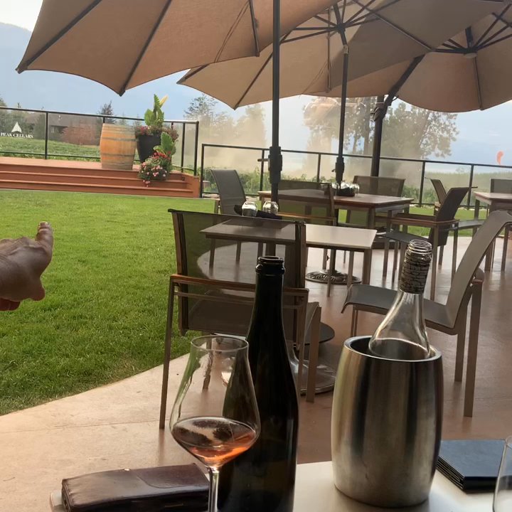 Peak Cellars - Helicopter tour - Wineries Near Me - Lake Country, British Columbia