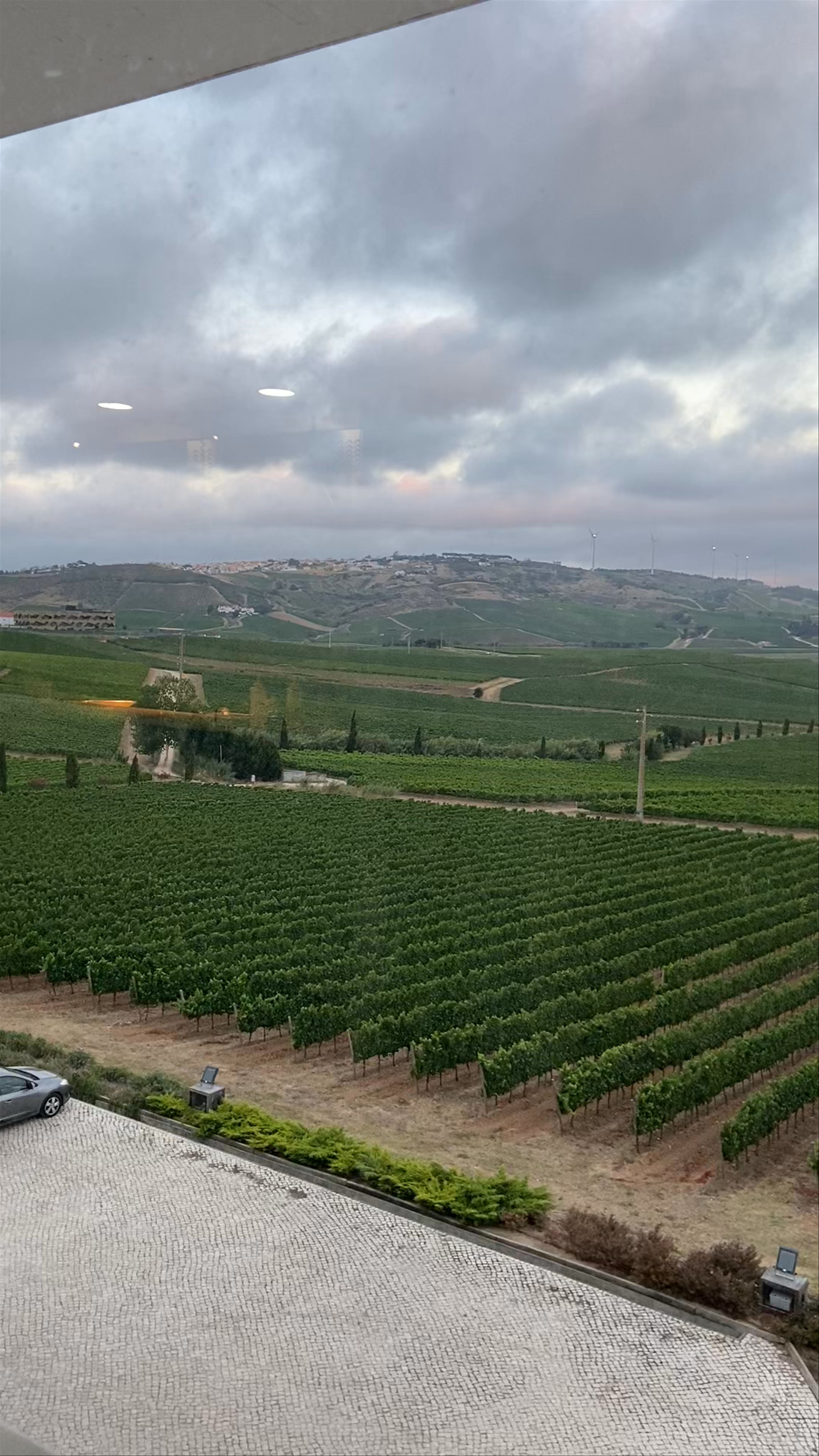 AdegaMãe Sociedade Agrícola