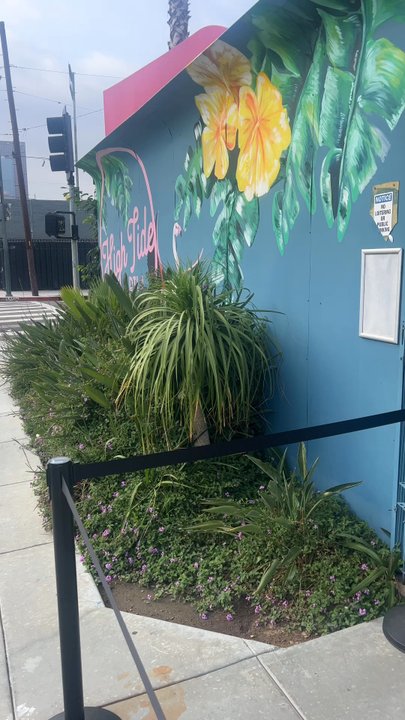 High Tide - Outside - Beer Gardens Near Me - Los Angeles, California