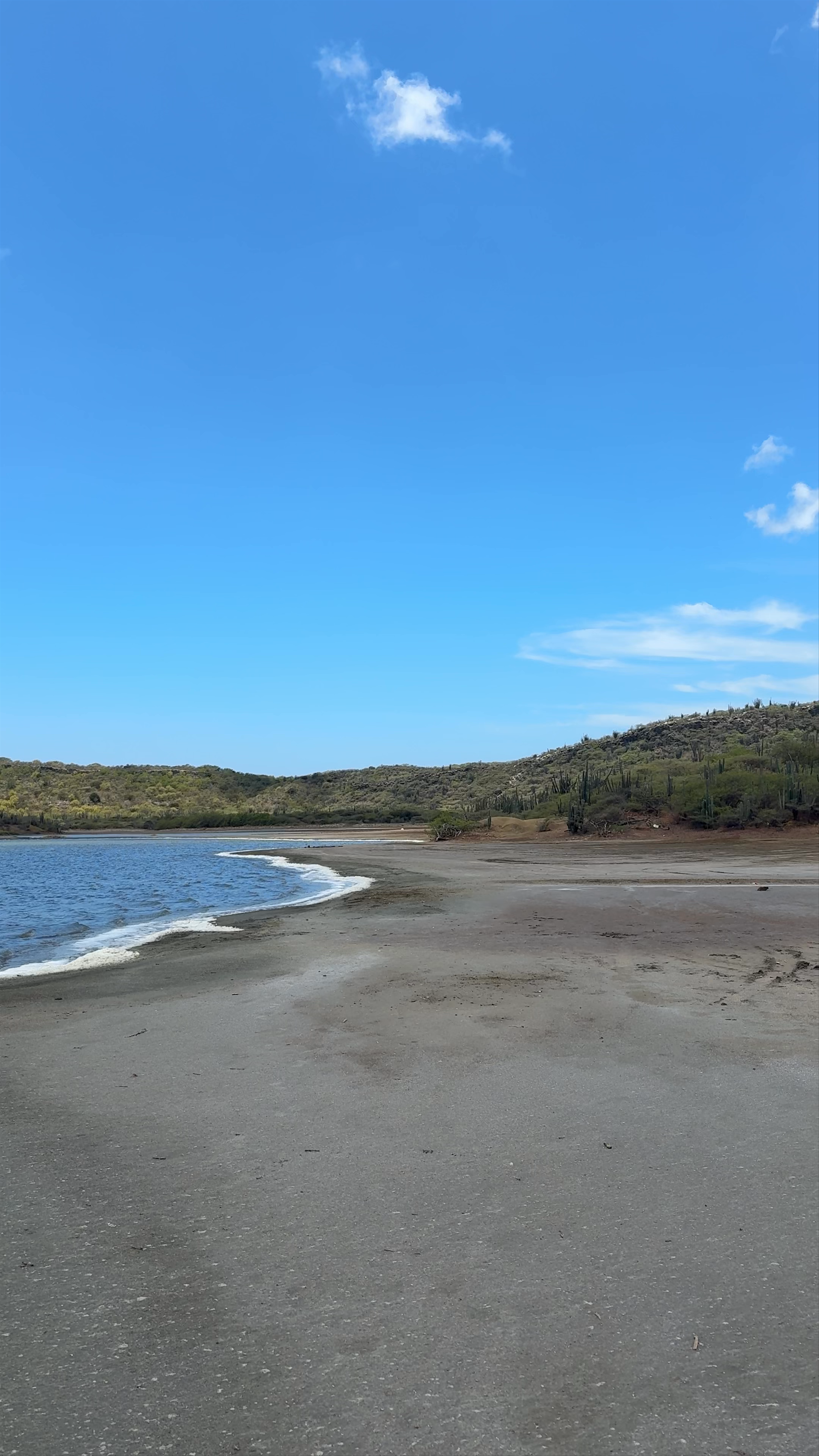 Flamingo Habitat Parking