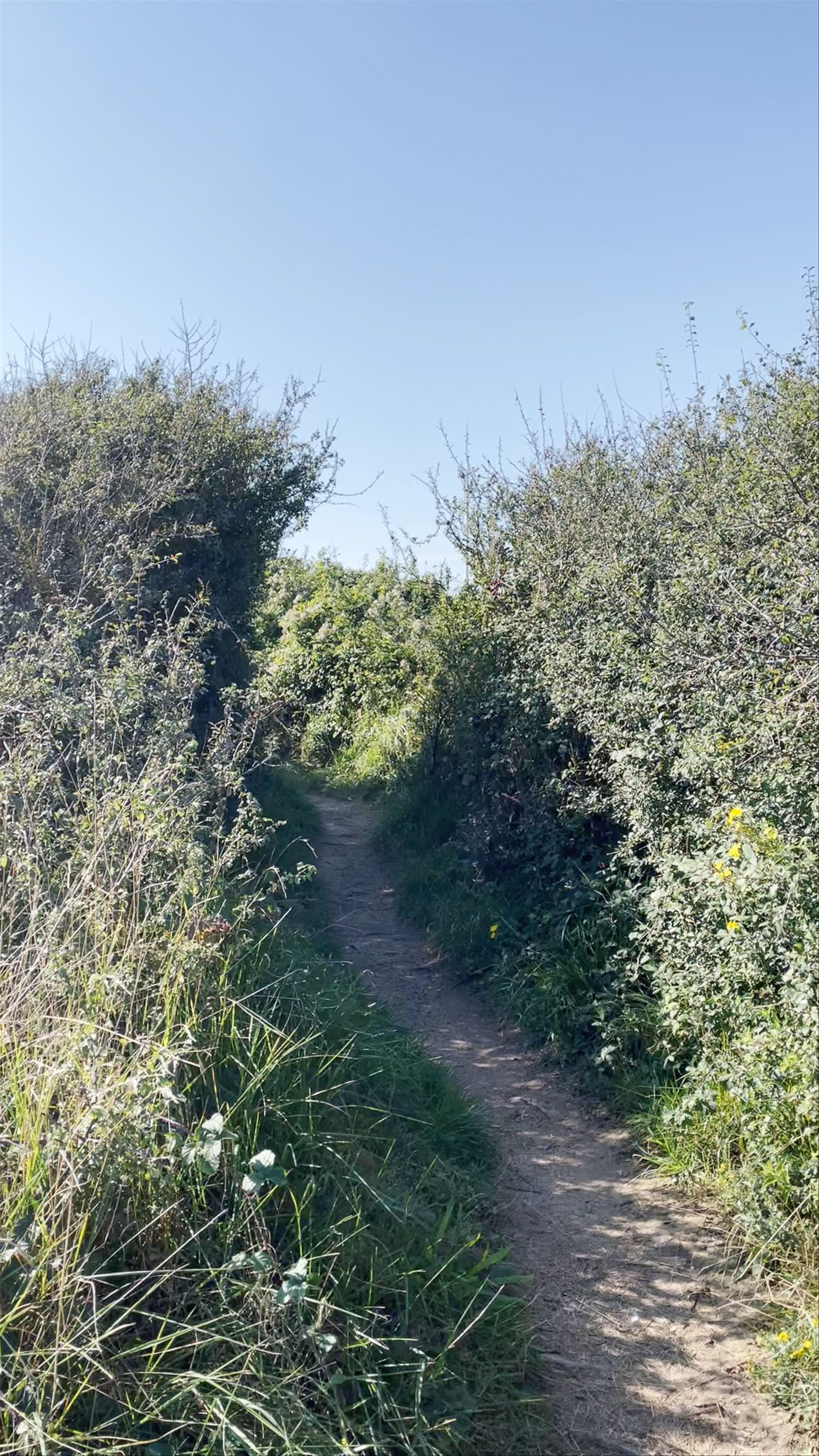 Kingsdown Beach
