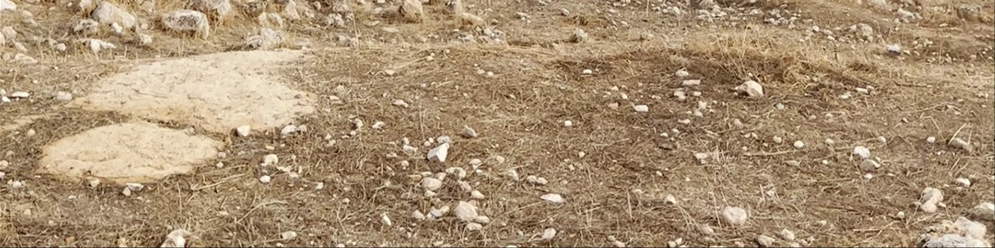 Jerash Archaeological Site