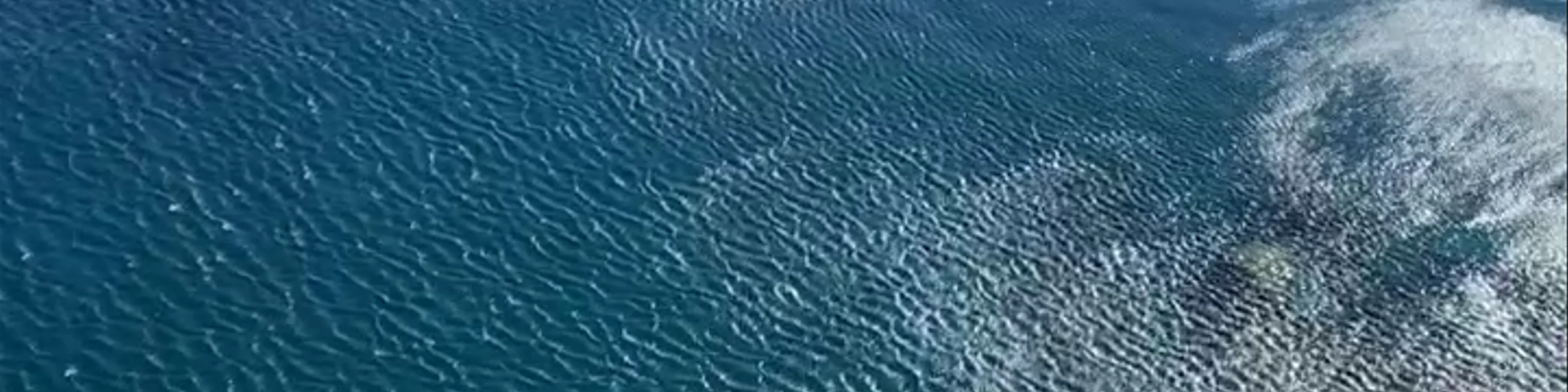 Temple of Poseidon