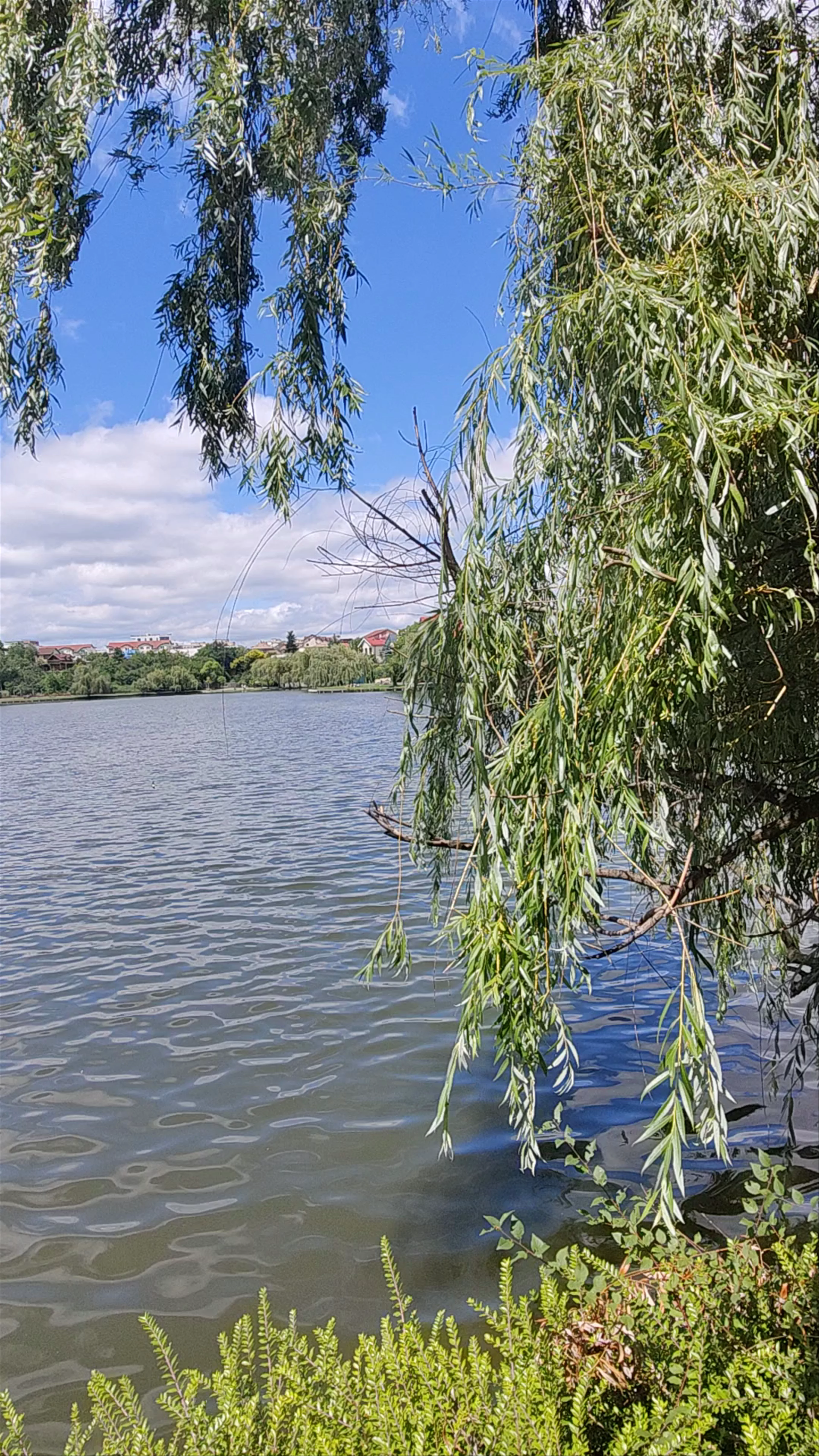 Lac Gheorgheni