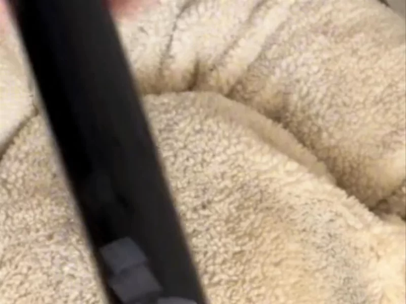 Dog spot cleaning video