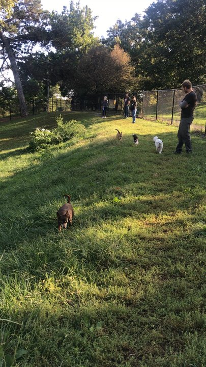 Hanscom Dog Park - Dog Parks Near Me - Omaha, Nebraska