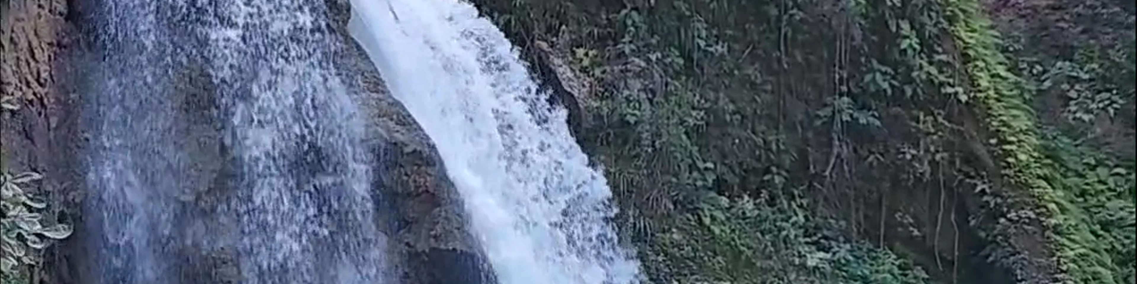 Kawasan Falls