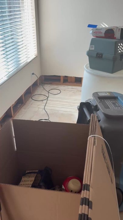 Integrity Restoration Pros - Damage Restoration Near Me