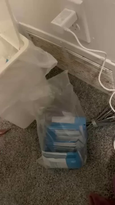 Powers Pest Control - Call if you hear noises before they try to enter your home. This is a bat trying to enter through a vent. - Pest Control Near Me - Dimondale, Michigan