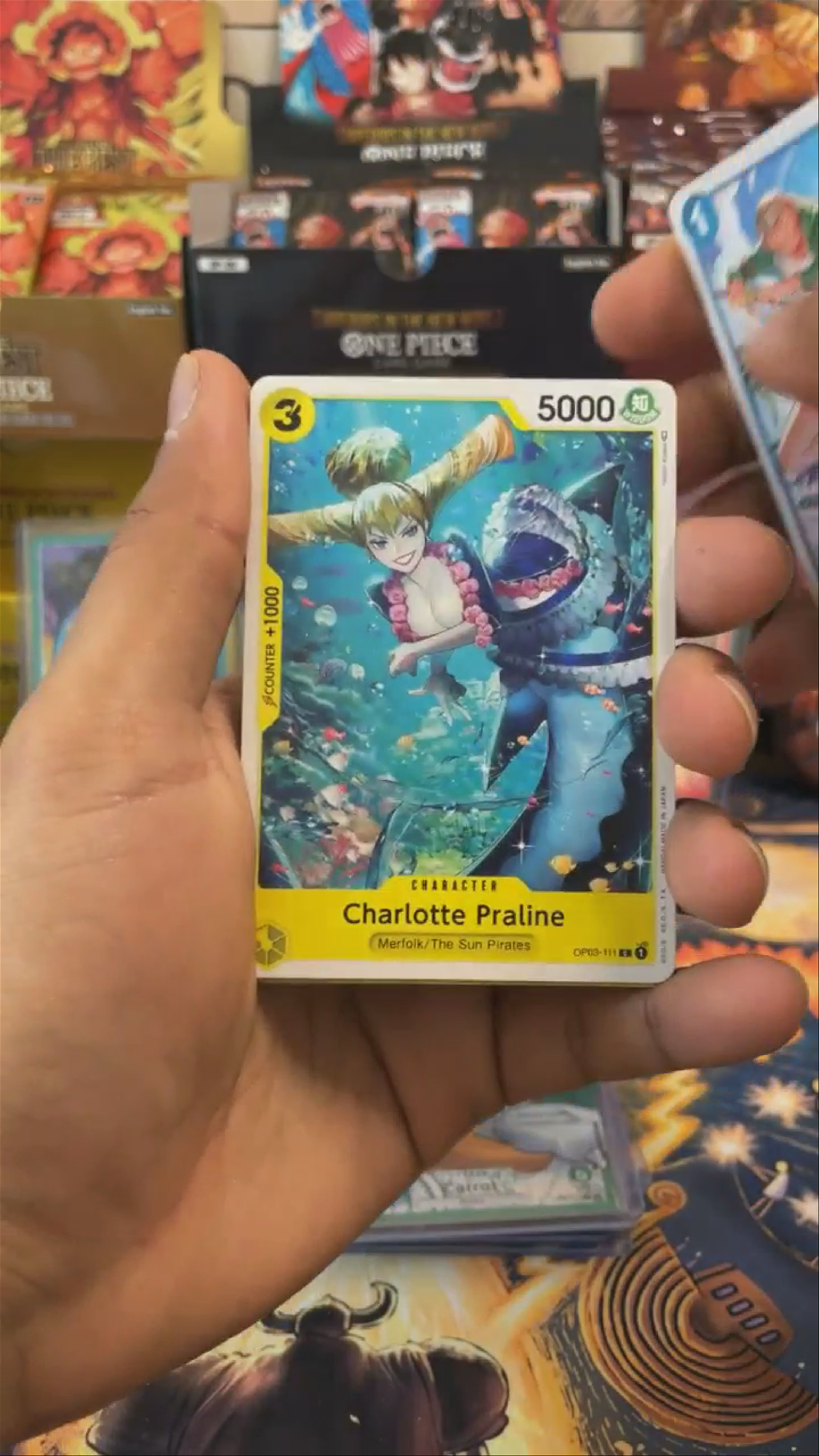 Primed Surprise Set continues !!!!!