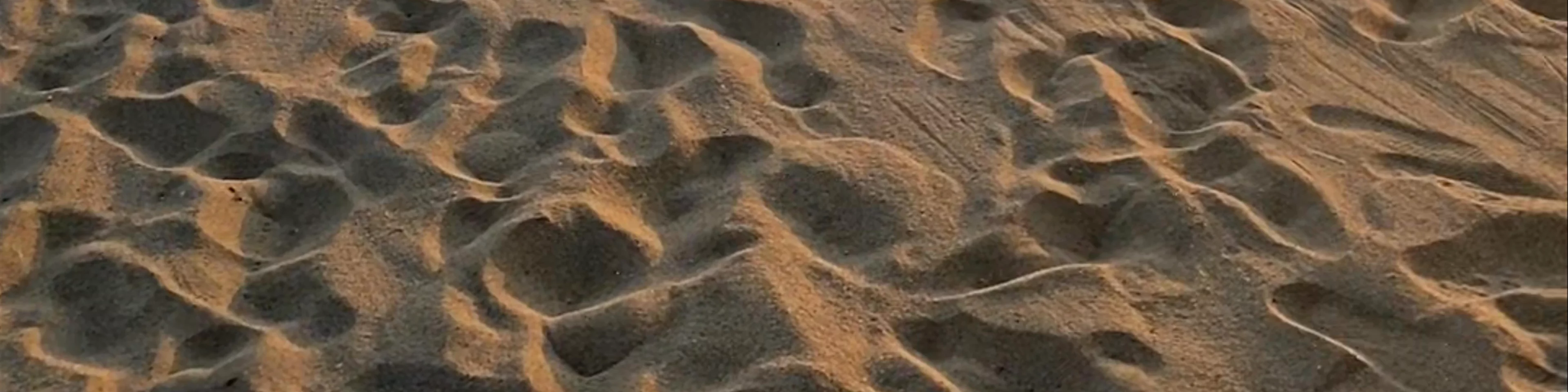 Playa Bacocho