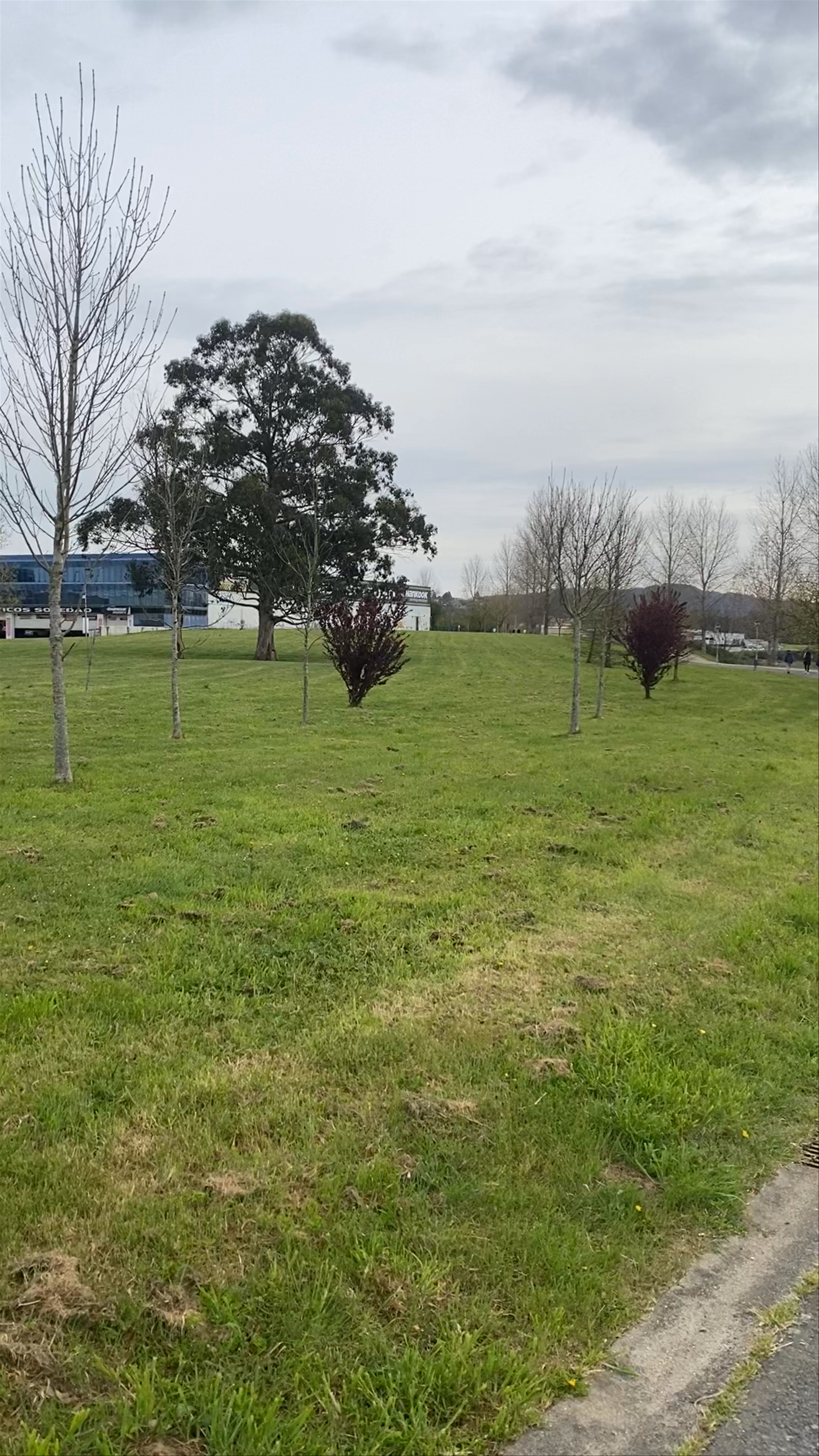 Paseo Marítimo Caranza