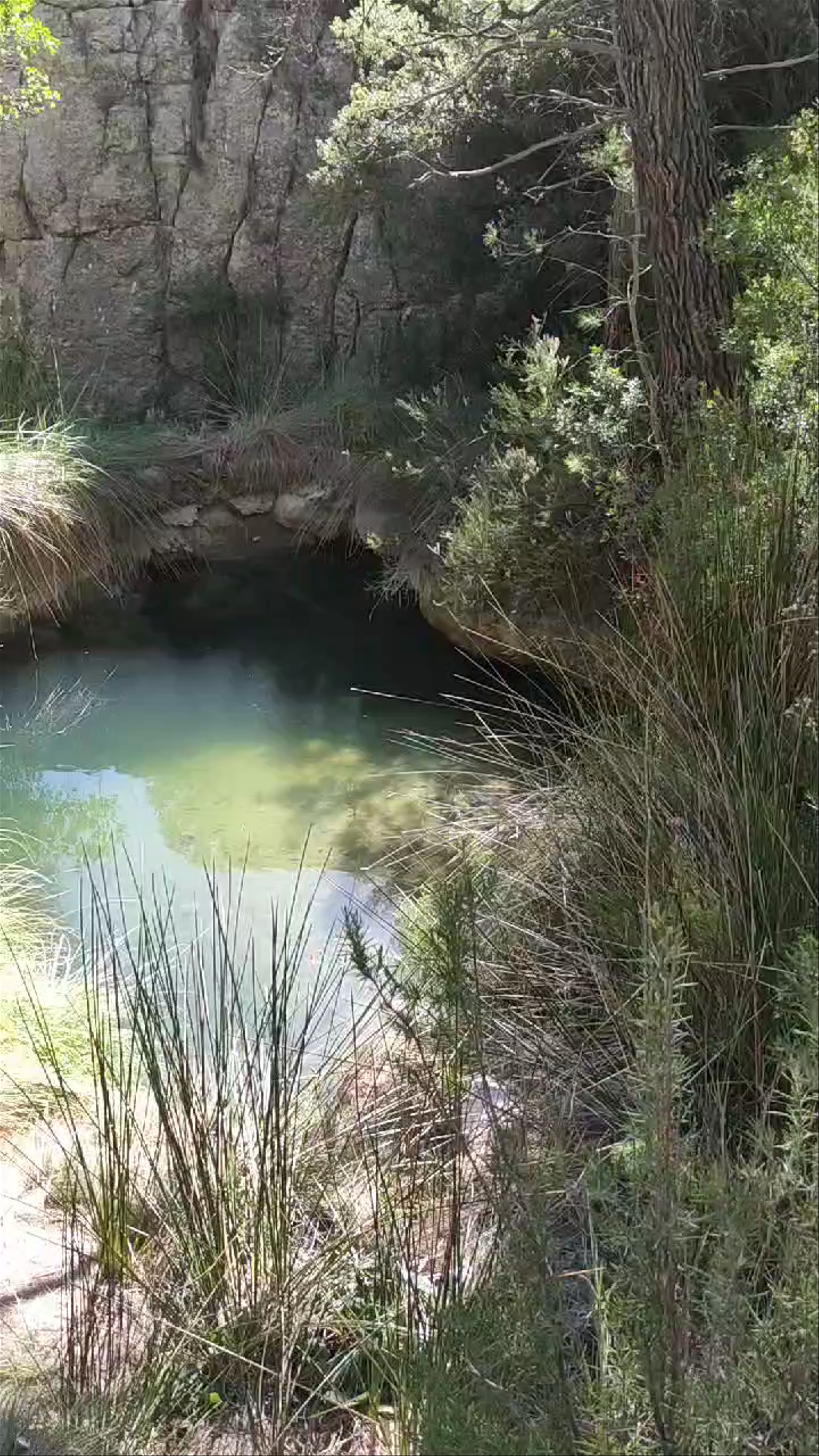 Reserva Natural de las Hoces del Cabriel