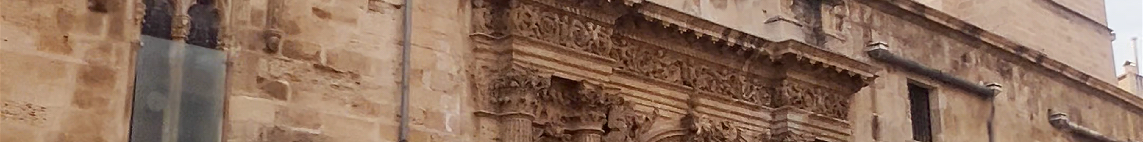Tours & experiences in Orihuela