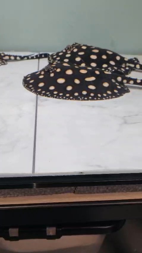 8 inch BD female