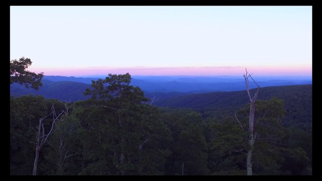 Into the wilderness