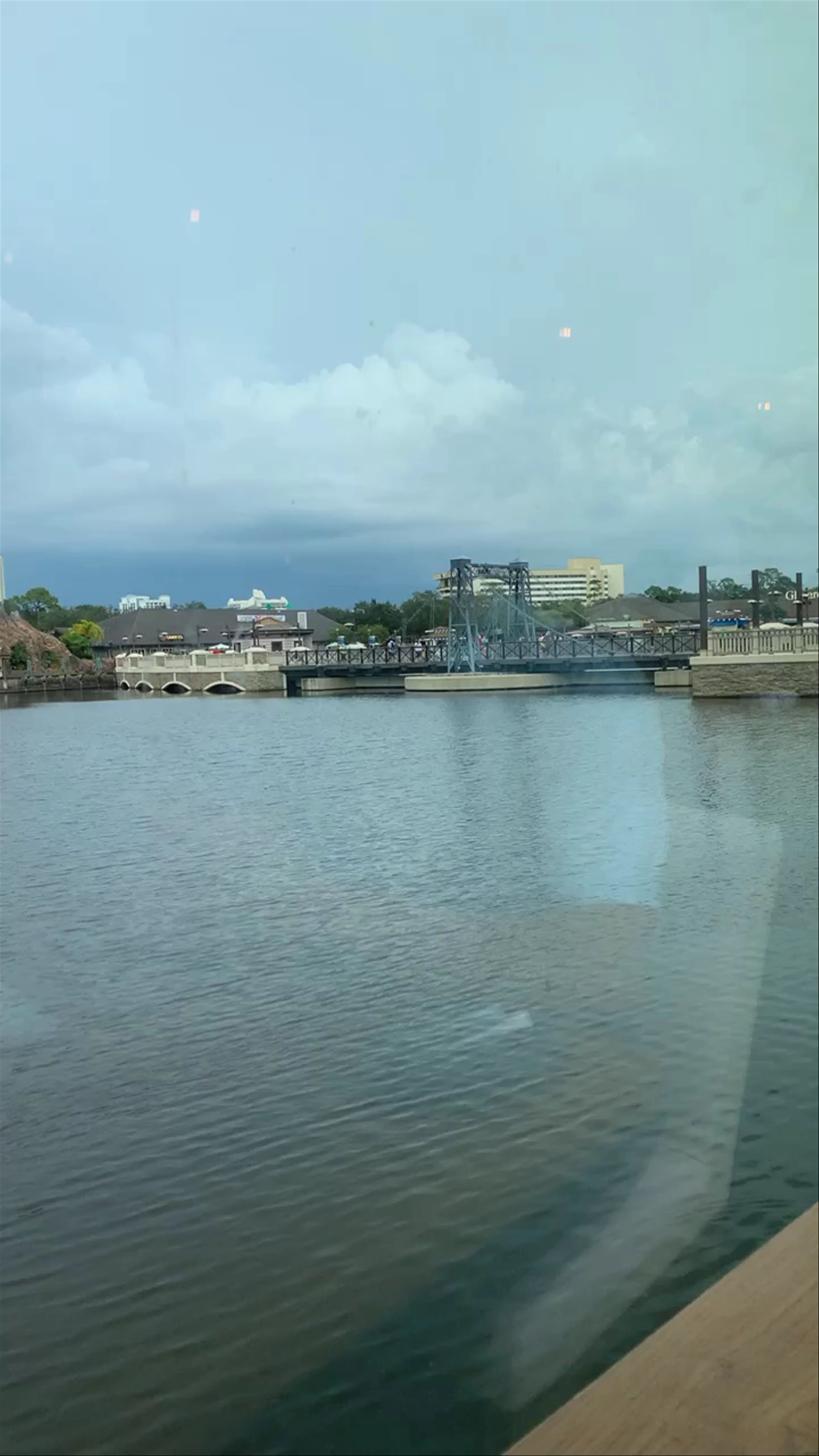 Paddlefish