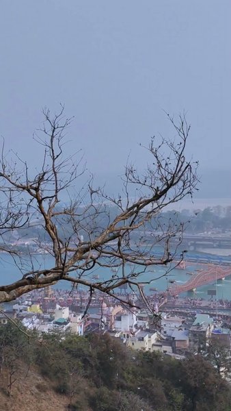 Photo of The View from top of