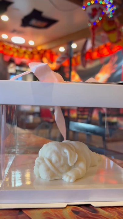 Dragon Flame Chinese Grill - Loved the food, and the dog icecream presentation 10/10 - Noodles Near Me - Tempe, Arizona