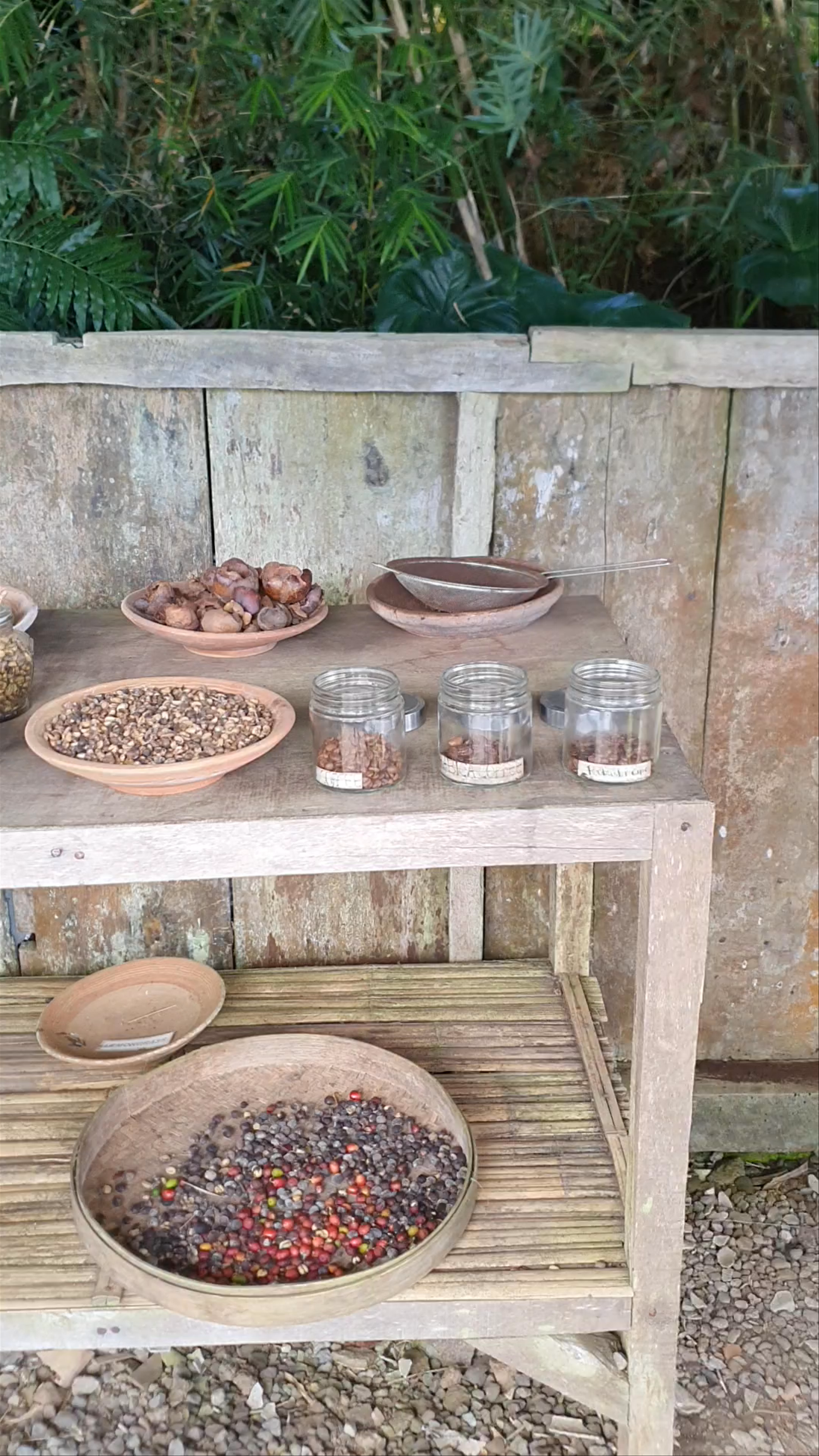 luwak coffee and tea ( BB LUWAK COFFEE)banyumala wanagiri