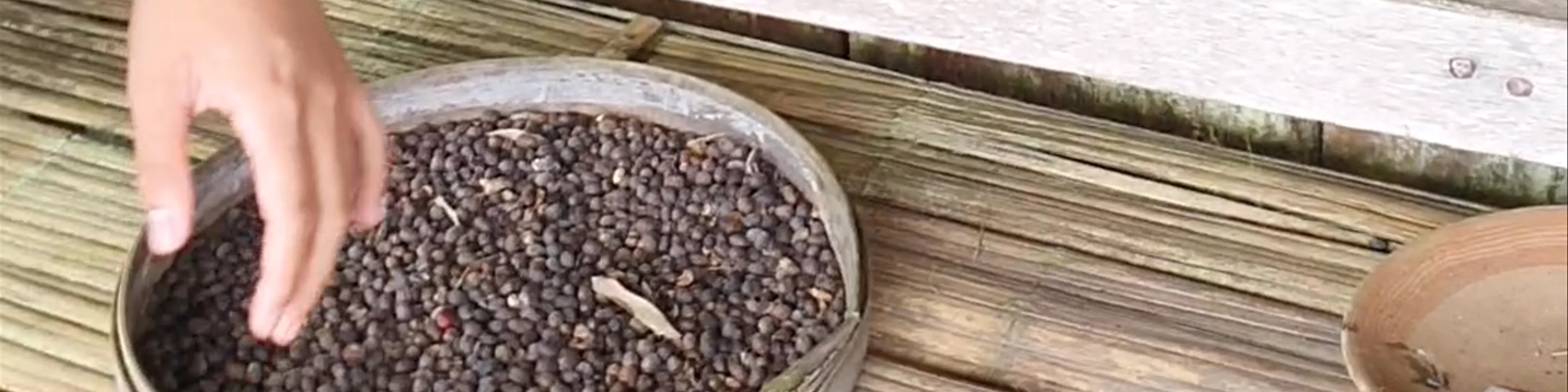 luwak coffee and tea ( BB LUWAK COFFEE)banyumala wanagiri