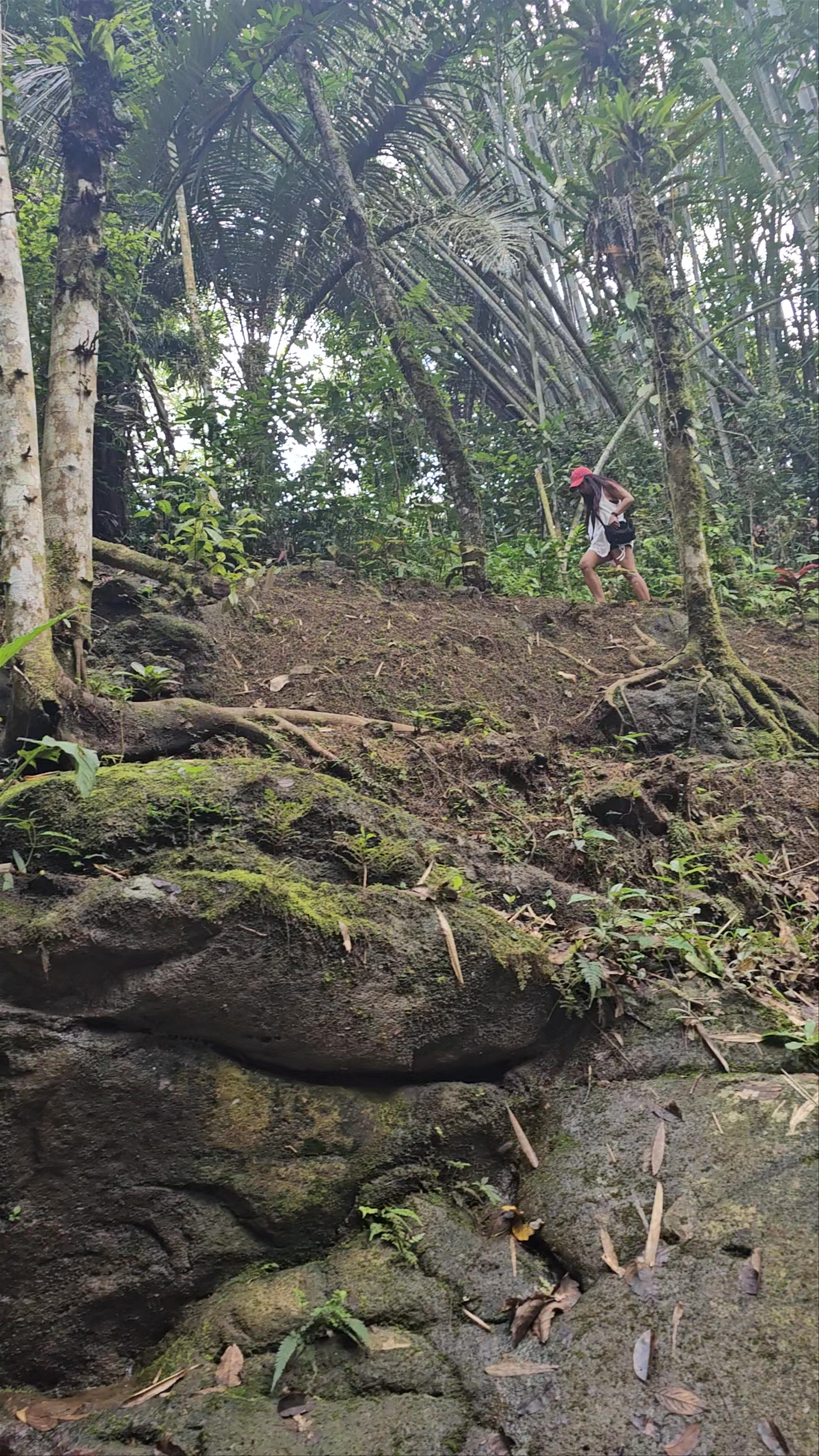 Immersive Jungle Trek in CEDAR, Impasug-ong, Bukidnon